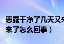 惡露干凈了幾天又來(lái)了正常嗎（惡露干凈了又來(lái)了怎么回事）