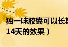 獨(dú)一味膠囊可以長(zhǎng)期服用嗎（獨(dú)一味膠囊吃了14天的效果）