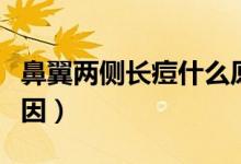鼻翼兩側(cè)長(zhǎng)痘什么原因（鼻翼兩側(cè)長(zhǎng)痘什么原因）