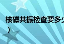 核磁共振檢查要多少錢(qián)（核磁共振檢查多少錢(qián)）
