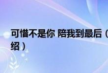 可惜不是你 陪我到最后（關(guān)于可惜不是你 陪我到最后的介紹）