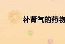補腎氣的藥物（補腎氣的方法）