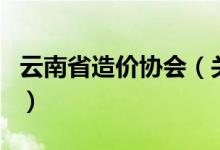 云南省造價(jià)協(xié)會(huì)（關(guān)于云南省造價(jià)協(xié)會(huì)的介紹）