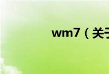 wm7（關(guān)于wm7的介紹）