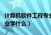 計算機軟件工程專業(yè)大學(xué)（計算機軟件工程專業(yè)學(xué)什么）