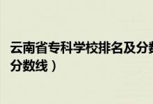 云南省?？茖W(xué)校排名及分?jǐn)?shù)線（2022云南省專科院校排名及分?jǐn)?shù)線）