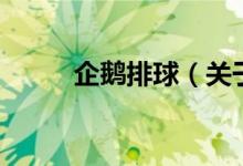 企鵝排球（關(guān)于企鵝排球的介紹）