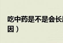 吃中藥是不是會(huì)長(zhǎng)胖?（吃中藥長(zhǎng)胖是什么原因）