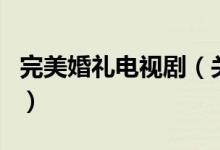 完美婚禮電視?。P(guān)于完美婚禮電視劇的介紹）