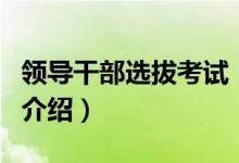 領(lǐng)導(dǎo)干部選拔考試（關(guān)于領(lǐng)導(dǎo)干部選拔考試的介紹）