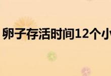 卵子存活時間12個小時（卵子存活時間多久）