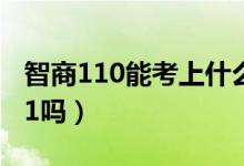智商110能考上什么大學（智商110能考上211嗎）