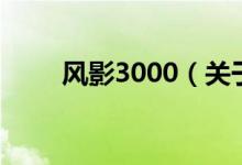 風(fēng)影3000（關(guān)于風(fēng)影3000的介紹）