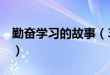 勤奮學習的故事（3個關(guān)于勤奮學習的小故事）
