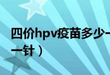 四價(jià)hpv疫苗多少一支（四價(jià)hpv疫苗多少錢一針）