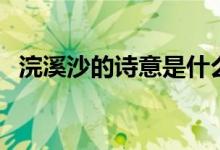 浣溪沙的詩意是什么意思（浣溪沙的詩意）