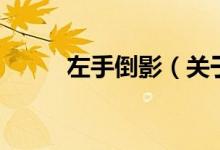 左手倒影（關(guān)于左手倒影的介紹）