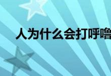 人為什么會(huì)打呼嚕（人為什么會(huì)打呼嚕）