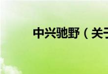 中興馳野（關(guān)于中興馳野的介紹）