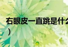 右眼皮一直跳是什么預兆（為什么會右眼皮跳）