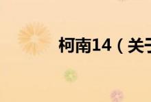 柯南14（關于柯南14的介紹）
