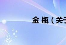 金 瓶（關(guān)于金 瓶的介紹）