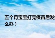 五個(gè)月寶寶打完疫苗后發(fā)燒怎么辦（寶寶打完疫苗后發(fā)燒怎么辦）