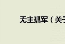 無主孤軍（關(guān)于無主孤軍的介紹）