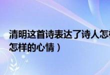 清明這首詩表達(dá)了詩人怎樣的情感（清明這首詩表達(dá)了詩人怎樣的心情）