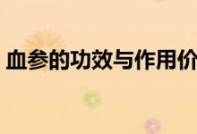 血參的功效與作用價(jià)格（血參的功效與作用）