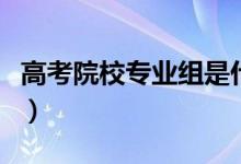 高考院校專(zhuān)業(yè)組是什么意思（有哪些填報(bào)技巧）