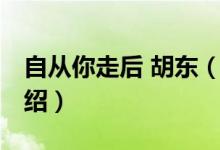 自從你走后 胡東（關(guān)于自從你走后 胡東的介紹）