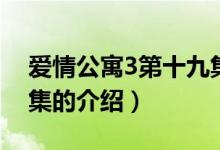 愛情公寓3第十九集（關于愛情公寓3第十九集的介紹）