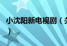 小沈陽新電視?。P(guān)于小沈陽新電視劇的介紹）