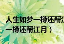 人生如夢一樽還酹江月表達的意思（人生如夢一樽還酹江月）