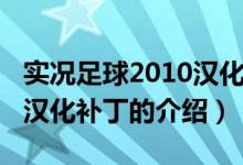 實(shí)況足球2010漢化補(bǔ)?。P(guān)于實(shí)況足球2010漢化補(bǔ)丁的介紹）