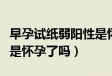 早孕試紙弱陽性是懷孕了嗎（早孕試紙弱陽性是懷孕了嗎）