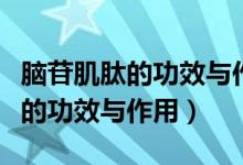 腦苷肌肽的功效與作用吃幾天見效（腦苷肌肽的功效與作用）