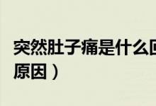 突然肚子痛是什么回事呢(突然肚子痛是什么原因)