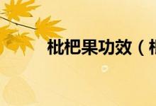 枇杷果功效(枇杷果功效與作用)