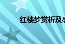 紅樓夢賞析及感悟（紅樓夢賞析）