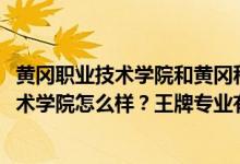黃岡職業(yè)技術(shù)學(xué)院和黃岡科技職業(yè)學(xué)院（2022年黃岡職業(yè)技術(shù)學(xué)院怎么樣？王牌專業(yè)有哪些？）