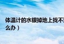 體溫計的水銀掉地上找不到怎么辦（體溫計的水銀掉地上怎么辦）