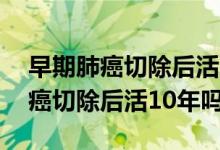 早期肺癌切除后活10年費用是多少（早期肺癌切除后活10年嗎）