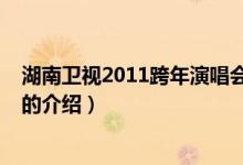 湖南衛(wèi)視2011跨年演唱會（關于湖南衛(wèi)視2011跨年演唱會的介紹）