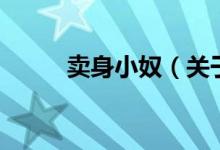 賣身小奴（關(guān)于賣身小奴的介紹）