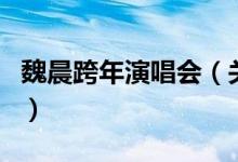 魏晨跨年演唱會（關(guān)于魏晨跨年演唱會的介紹）