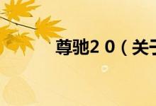 尊馳2 0（關于尊馳2 0的介紹）