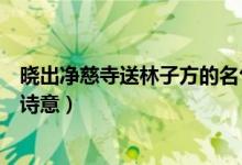 曉出凈慈寺送林子方的名句是什么（曉出凈慈寺送林子方的詩(shī)意）