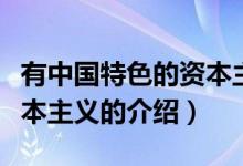 有中國特色的資本主義（關于有中國特色的資本主義的介紹）